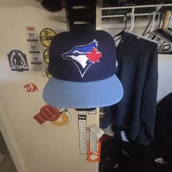 Blue Jay's Hat 