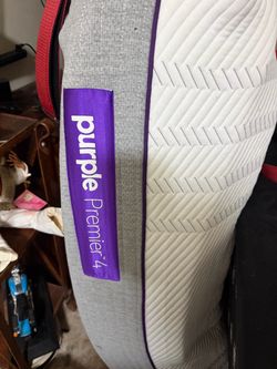 Purple premier 4