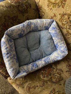 Cat bed
