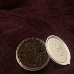 Java Lava coffee Scrub