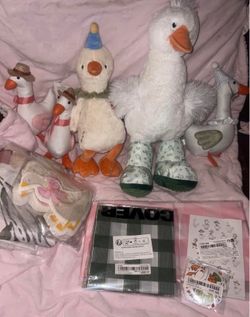 Silly Goose decorations
