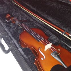 Palatino Vn300 Violin 