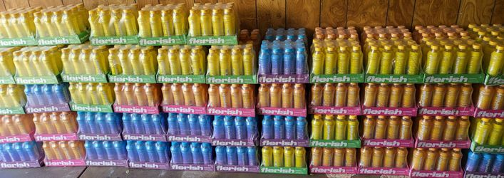 Flerish Sports Drink Extreme Hydration