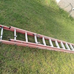 24 Ft Ladder