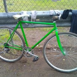 Custom Old School14 Speed Giant Wit New 29 "Rims Tires And Tubes