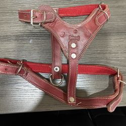 Small Dog Hardness 