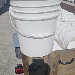5 Gallons Bucket wiht lids (DELIVER OPTION)