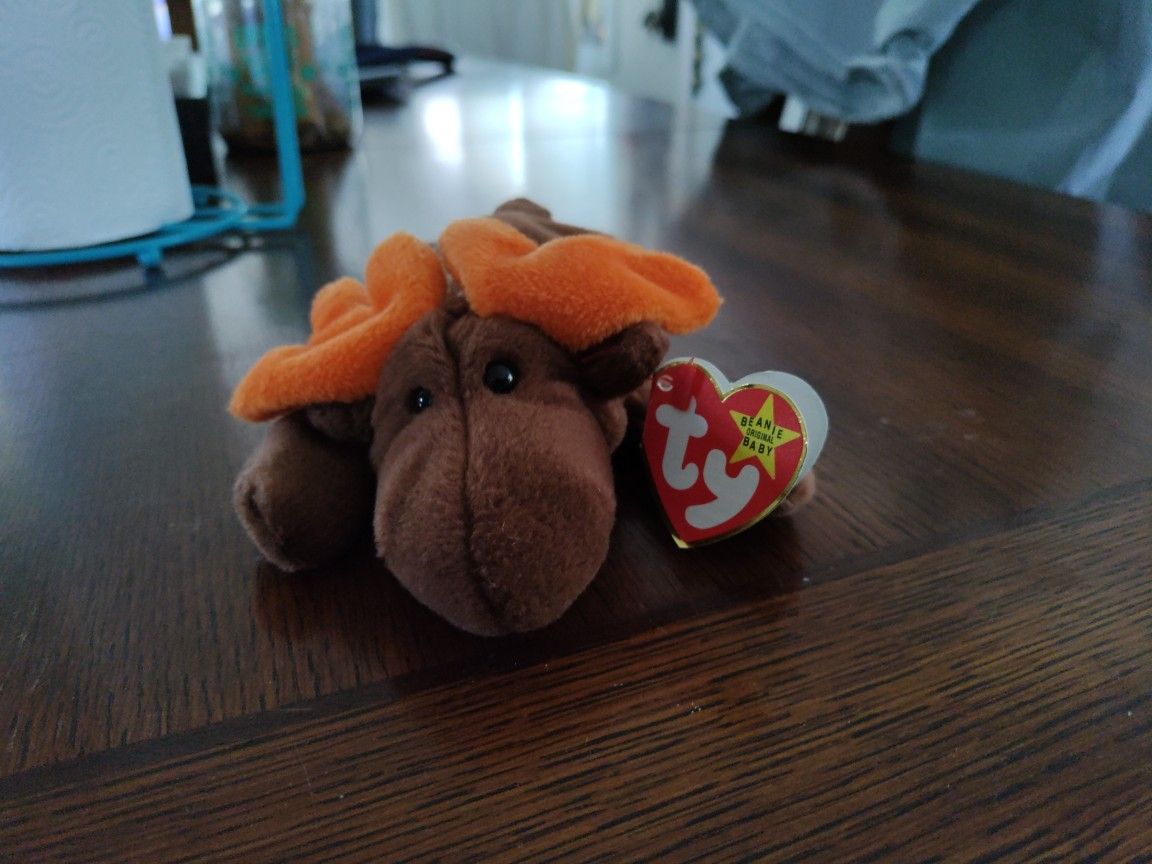 Chocolate Moose Beanie Babies