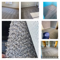 Carpet Carpet Carpet 
