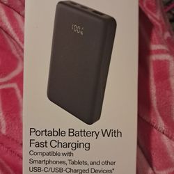 Fast Charging Portable Battery 