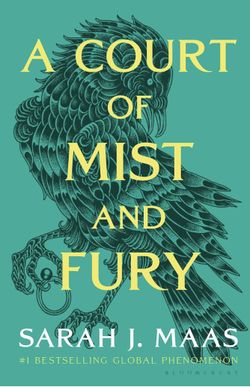 A Court Of Mist And Fury Book