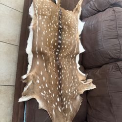 Deer Skin Rug