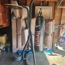 Everlast 100lb Heavy Bag/speed Bag