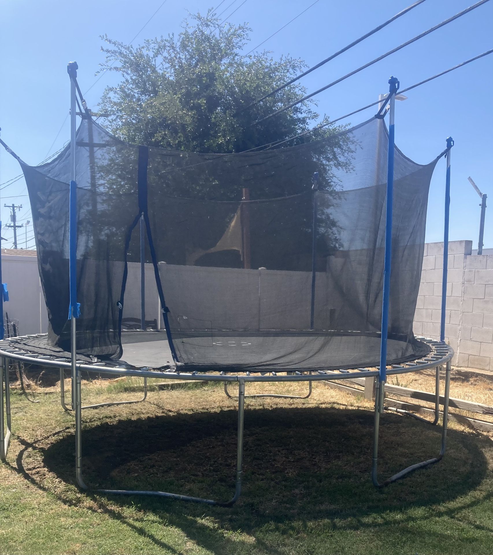 Trampoline