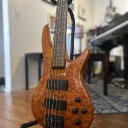 Carlo Robelli 5-string electric bass guitar usb895