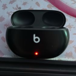 Beat Bud Wireless Charging case 