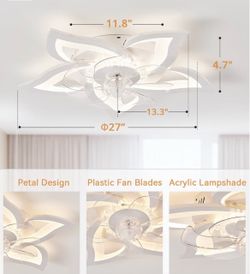 Ceiling fan