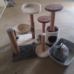 Various cat scratching posts