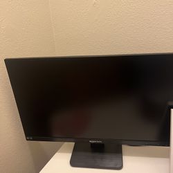 Computer Monitor 