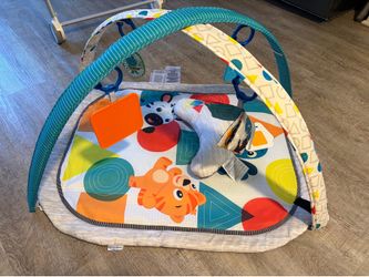 Baby Einstein Play Mat and Toys