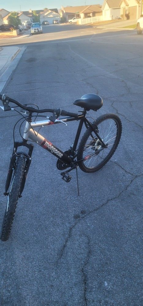 Mountain Bike
