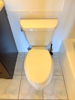 Toilet bowl