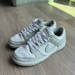 Womens White&Gray Nike Dunk Shoes 6,5US