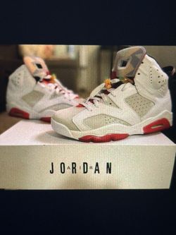 Air Jordan 6