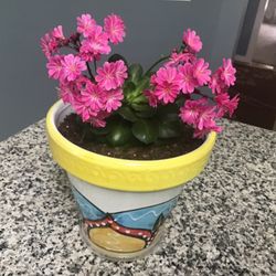 Plant
