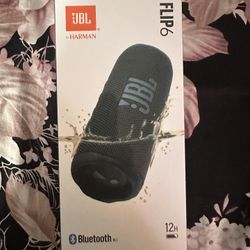 JBL Flip 6 