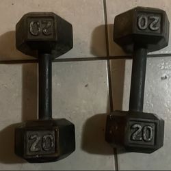 20Lb Hex Cast Iron Weights [Pair]