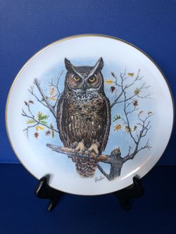 Two Collector Plates, Rare Vintage Boehem, England ,