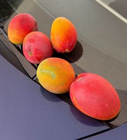 Fresh Homegrown Mangos — Sweet, Large and Tropical 🥭