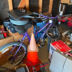 Roadmaster bike AS IS