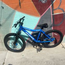 Genesis Mountain bike (stone series)