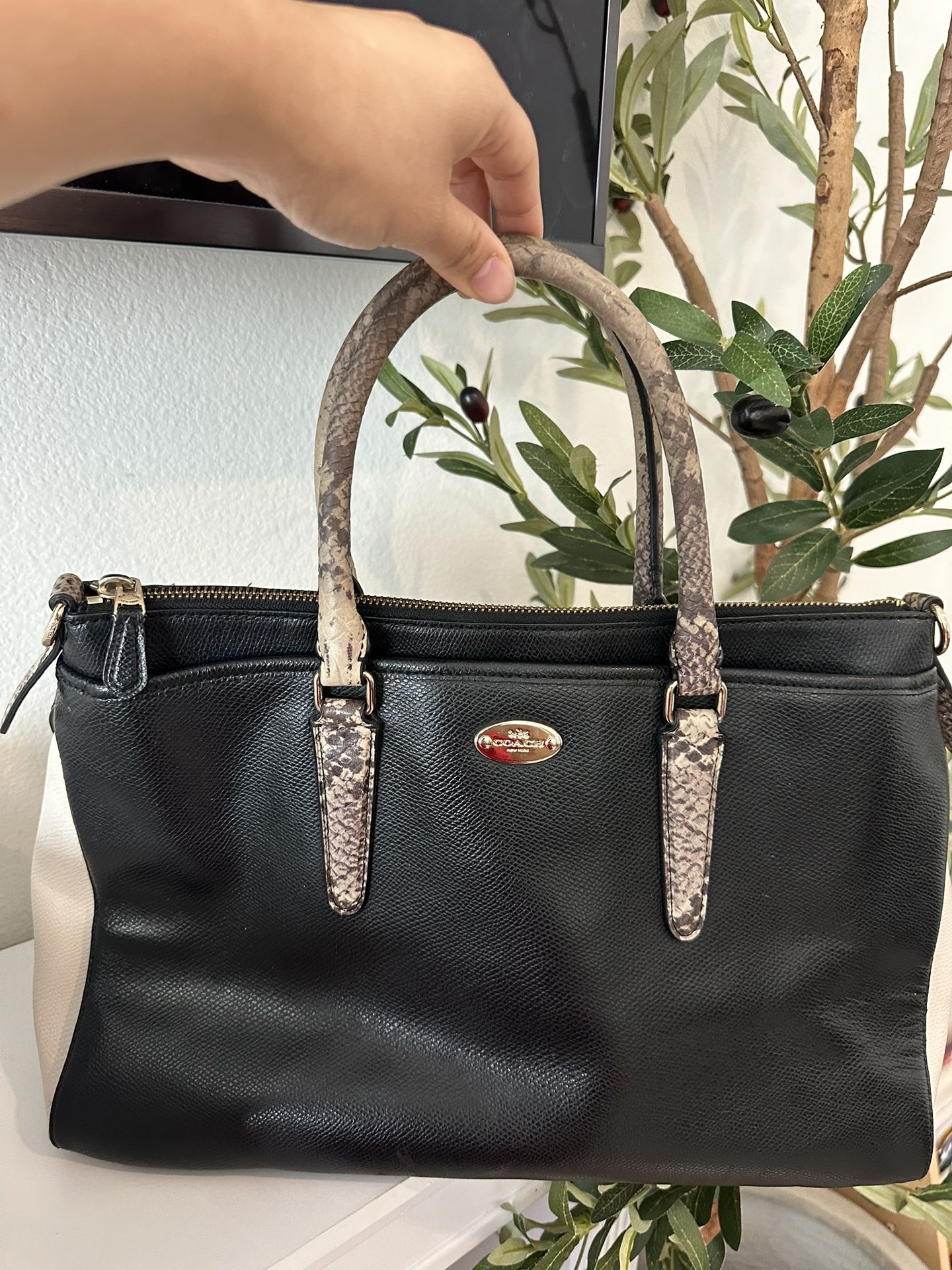 Coach Black and Cream Tote with Snakeskin Handles