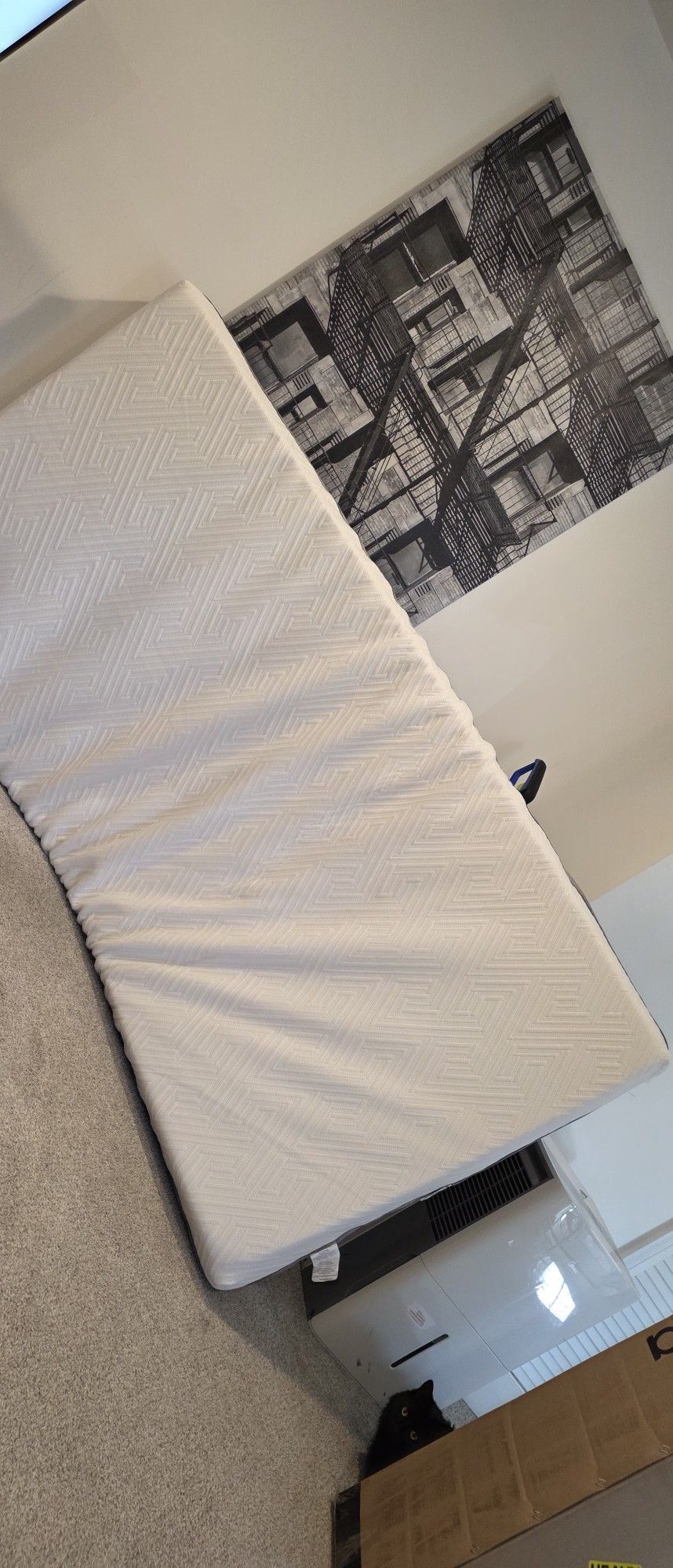 Twin 6 Inch Memory Foam Mattress