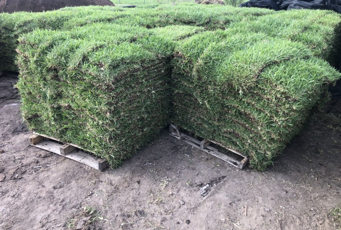 Grass pallets (Free delivery) for Sale in Richmond, TX OfferUp