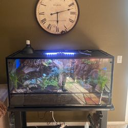 Snake Tank Full Bio Active