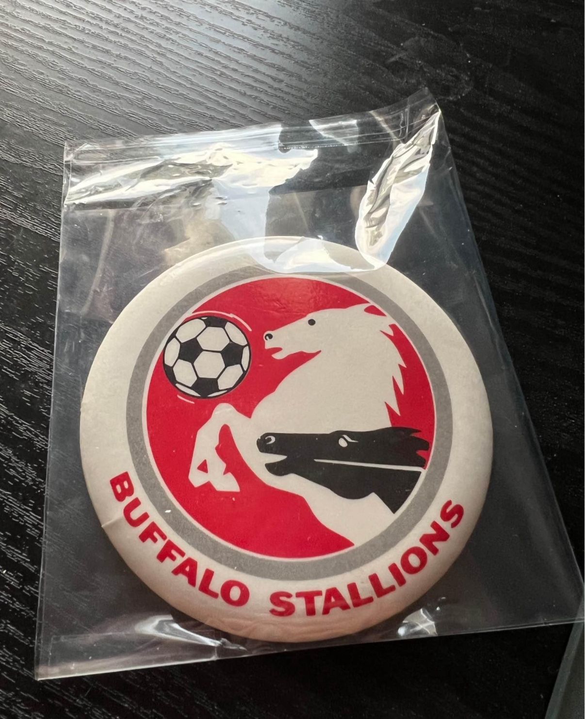 Buffalo Stallions Pin