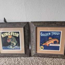 Vintage Fish Pictures