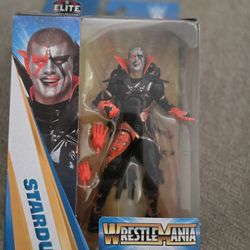 WWE Cody Rhodes Stardust