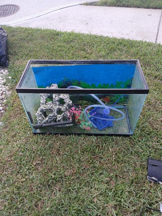 Fish Tank