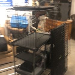 Pet Supply