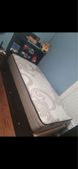Cama