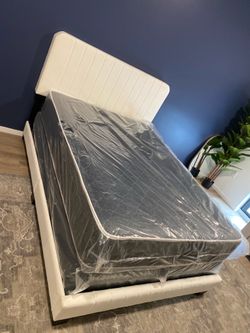 Full mattress with box spring (2pc set - new)