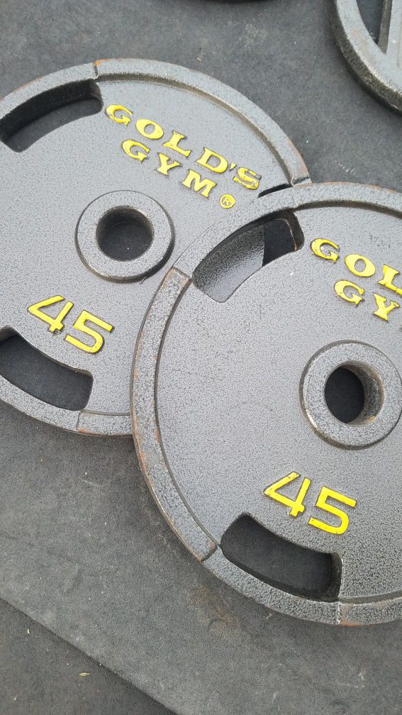 ( EXERCISE FITNESS 365 ) NEW CONDITION PAIR OF 45 LBS GOLDS GYM OLYMPIC WEIGHTS WITH EASY HANDLES