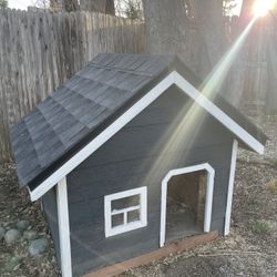Real Dog House 