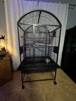 A&E Parrot cage 32x23 Like New!