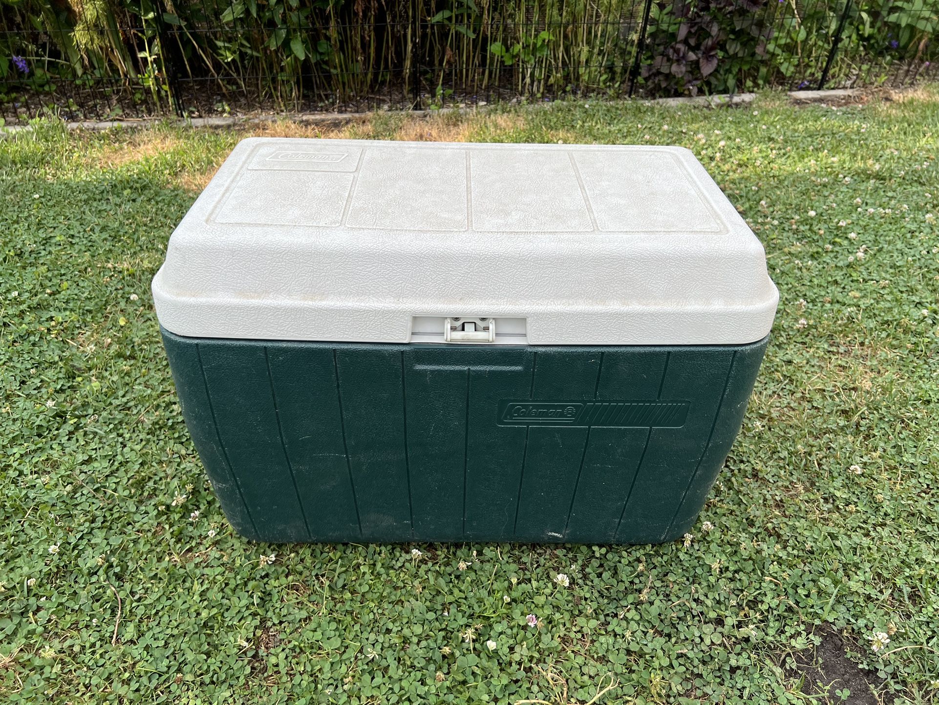 Coleman Cooler
